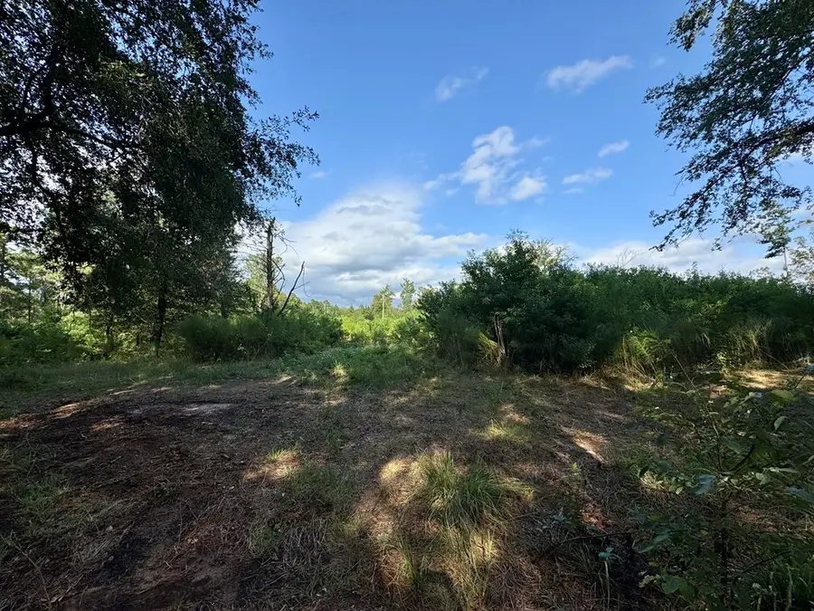 LT 6 Cr 813, Nacogdoches, TX 75964 - Image #2