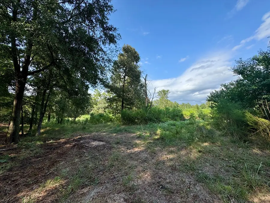LT 6 Cr 813, Nacogdoches, TX 75964 - Image #3