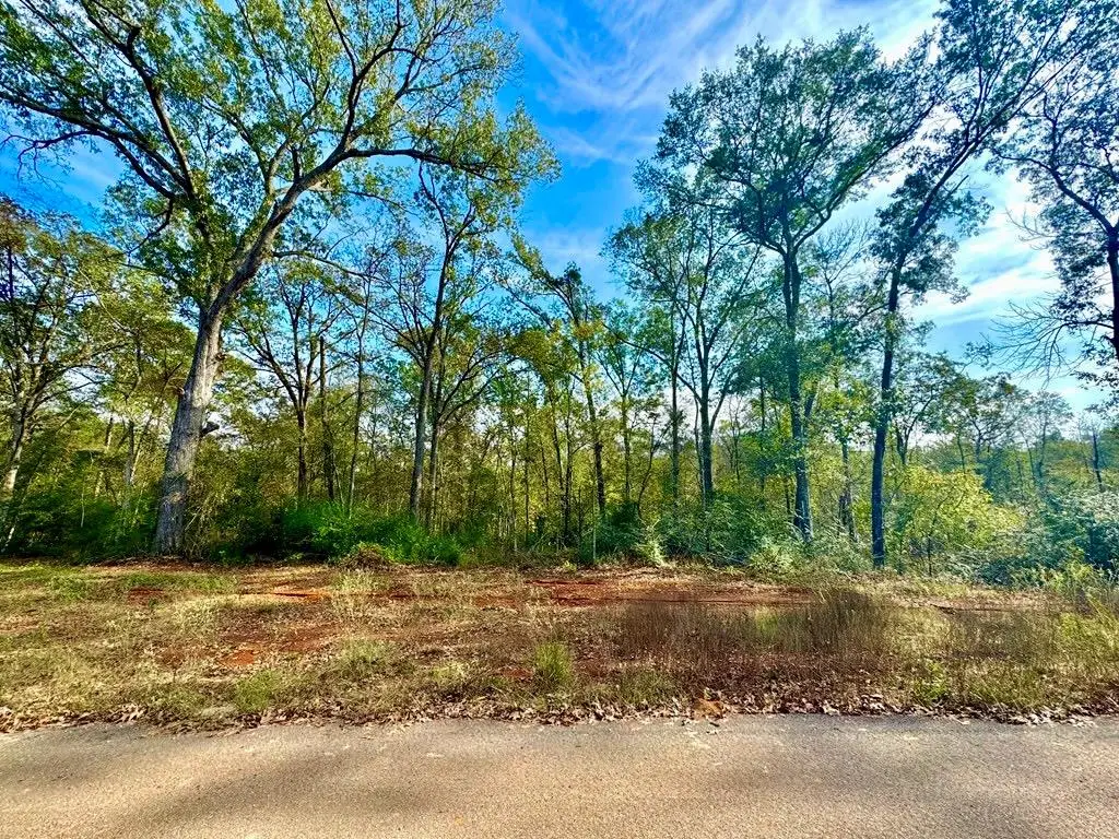 323 Oak Springs, Nacogdoches, TX 75965 - #1
