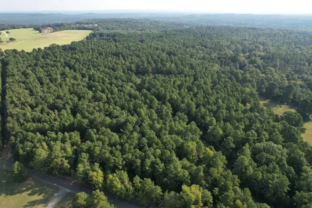 TBD Acr 1220, Grapeland, TX 75844 - #1