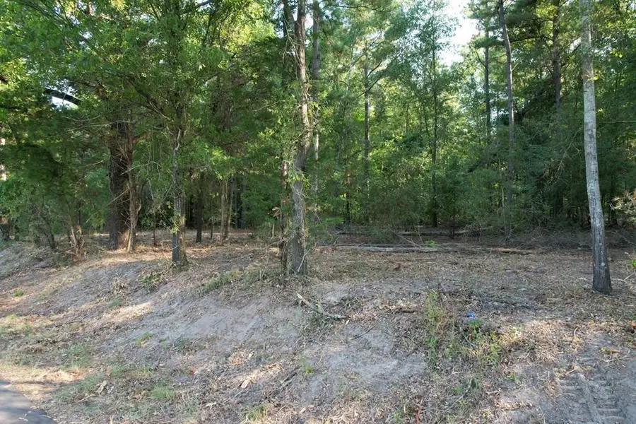 TBD Acr 1220, Grapeland, TX 75844 - #2