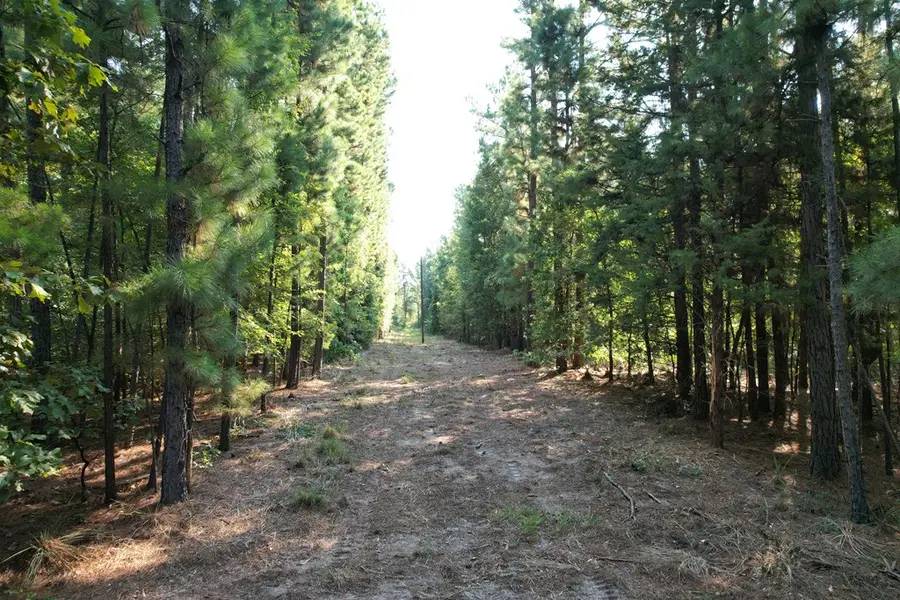 TBD Acr 1220, Grapeland, TX 75844 - #3