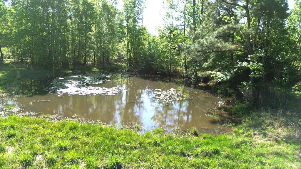 191 Fm 587, Kennard, TX 75847 - Image #1