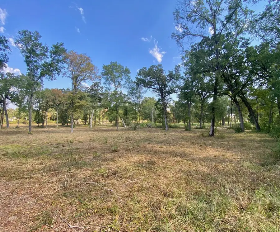1124 Creekwood Drive, Crockett, TX 75835 - #2