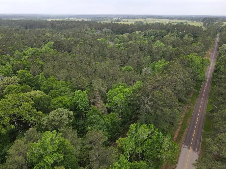 TBD Fm 2110, Crockett, TX 75835 - #3