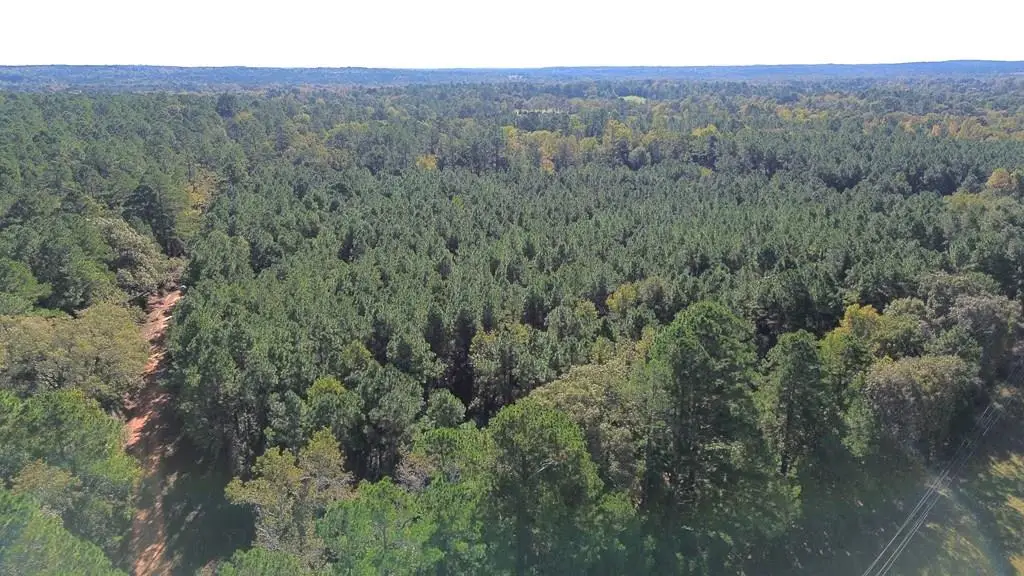 23.31 acres Cr 2265, Grapeland, TX 75844 - #1