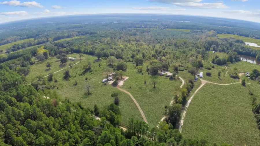 738 Cr 1200, Grapeland, TX 75844 - Image #2