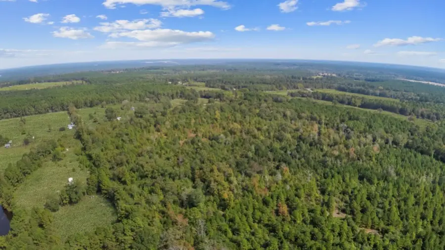 738 Cr 1200, Grapeland, TX 75844 - Image #3