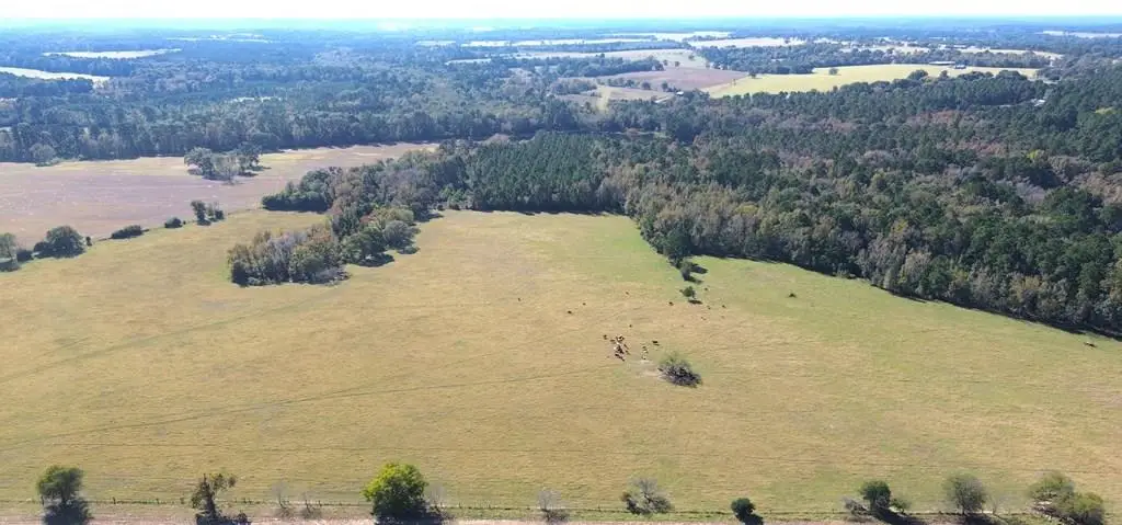 485 Private Rd 6142, Grapeland, TX 75844 - #1