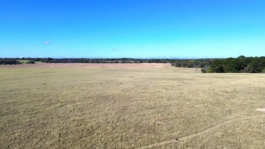 485 Private Rd 6142, Grapeland, TX 75844 - #2