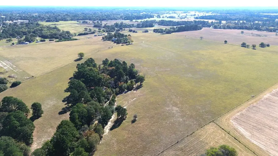 485 Private Rd 6142, Grapeland, TX 75844 - #3