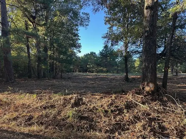 TBD Cr 1552, Long Branch, TX 75669