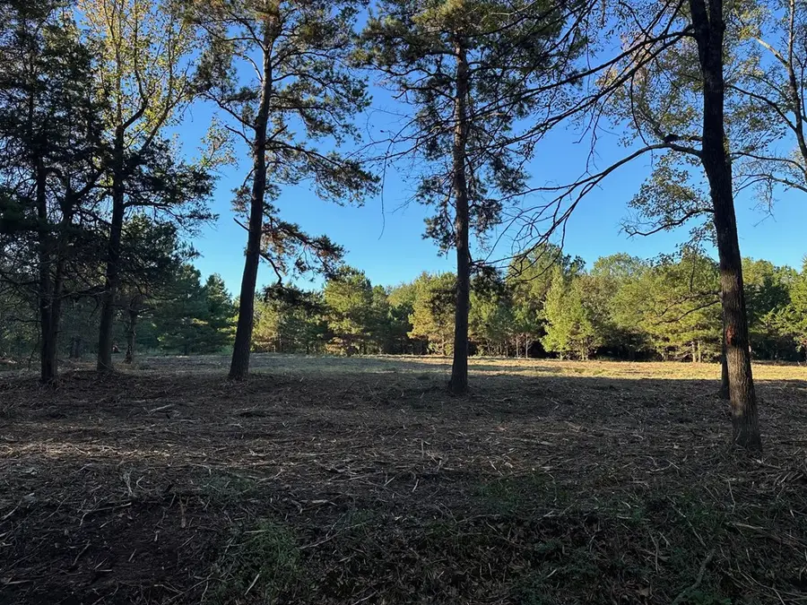 TBD Cr 1552, Long Branch, TX 75669 - Image #3