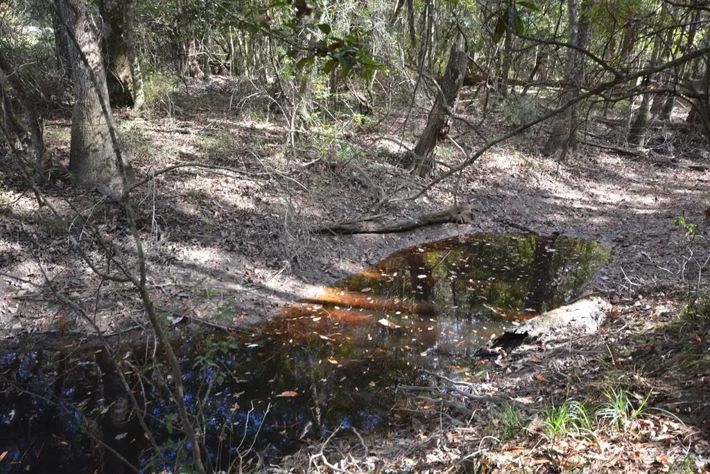 1685 Margaret Drive, Kirbyville, TX 75956 - Image #1