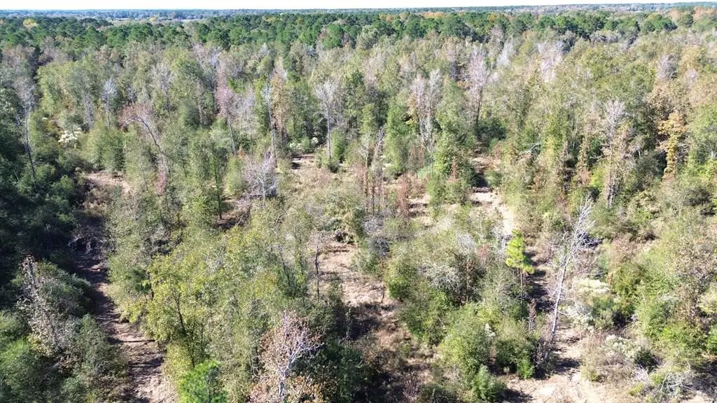 TBD Fm 1280e, Lovelady, TX 75851 - #1