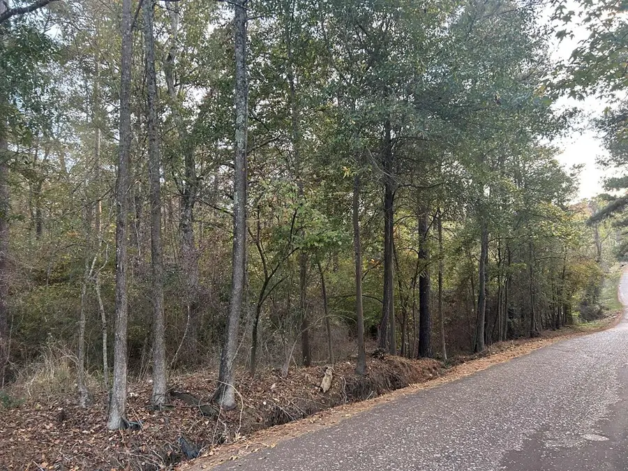 289 Cr 1040, Center, TX 75935 - Image #2