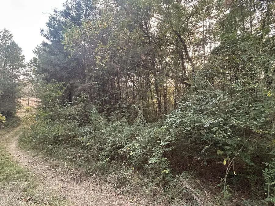 289 Cr 1040, Center, TX 75935 - Image #3