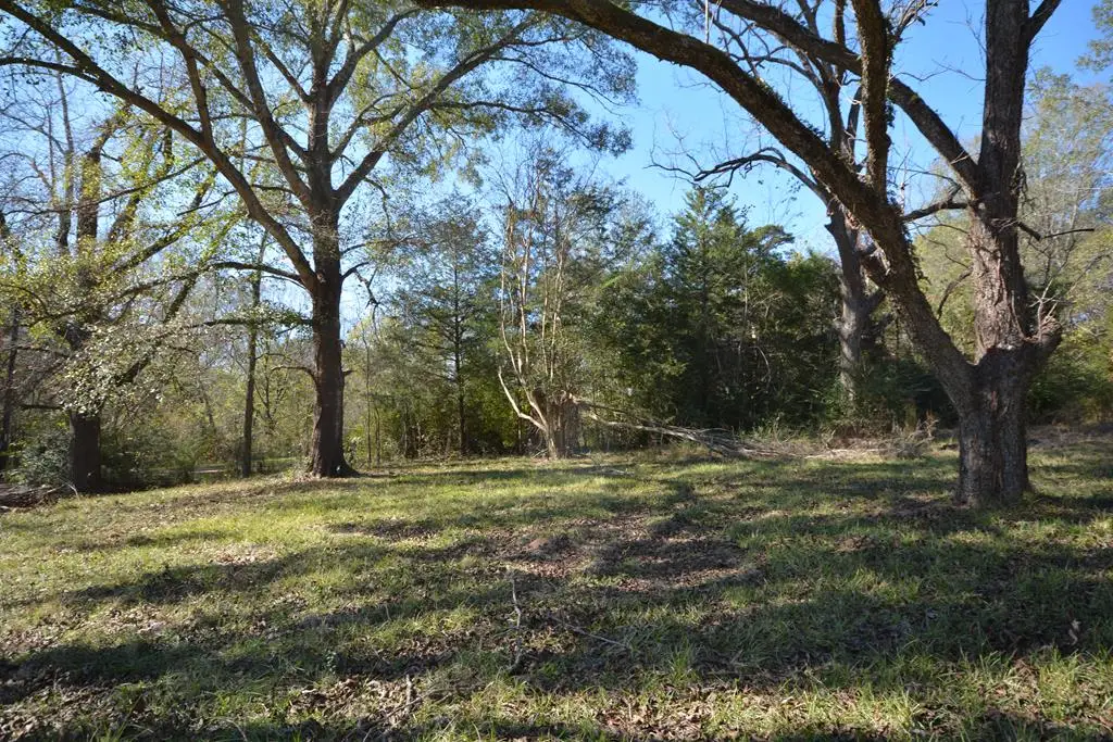 4827 Fm 227, Grapeland, TX 75844 - Image #1