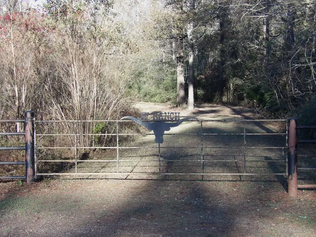 Tract #7 Fm 1280e, Lovelady, TX 75851 - #1