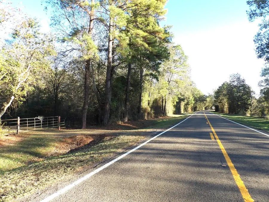 Tract #7 Fm 1280e, Lovelady, TX 75851 - #3