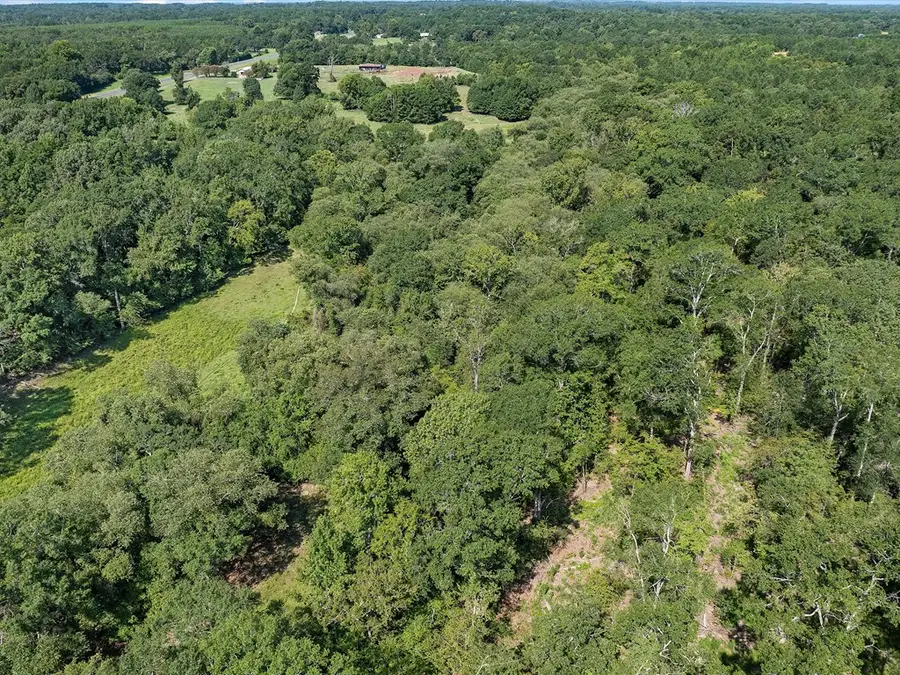 TBD Hwy 79e, Henderson, TX 75652 - Image #3