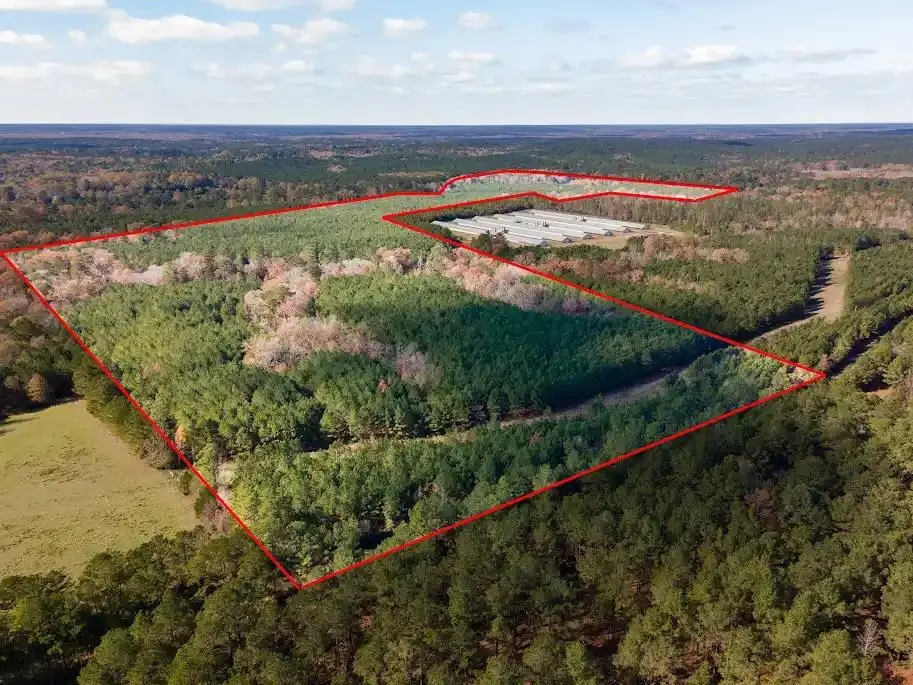 TBD Cr 3100, San Augustine, TX 75972 - Image #1