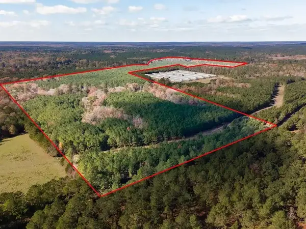 TBD Cr 3100, San Augustine, TX 75972