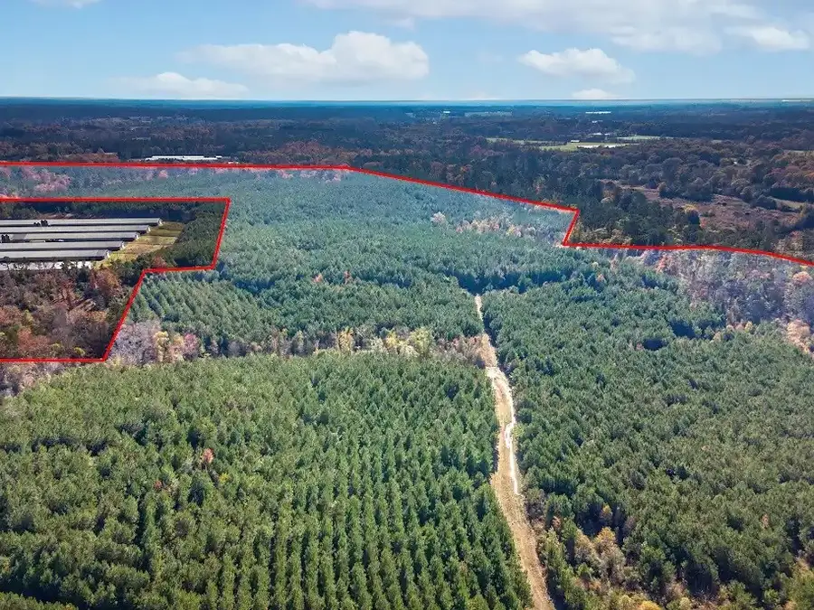 TBD Cr 3100, San Augustine, TX 75972 - Image #2