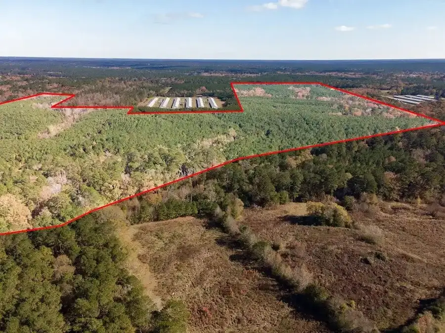 TBD Cr 3100, San Augustine, TX 75972 - Image #3