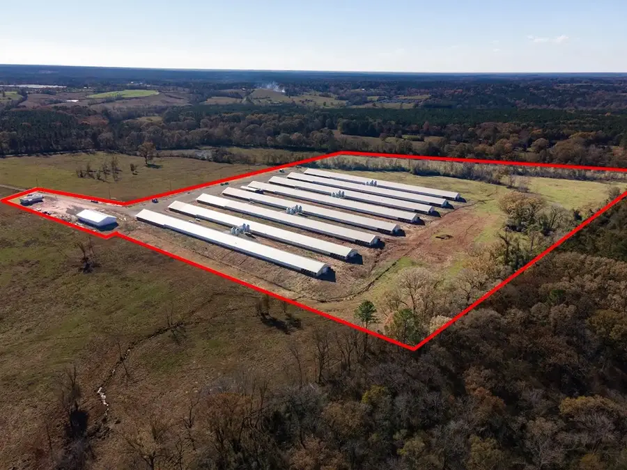 TBD Fm 1277, San Augustine, TX 75972 - Image #3