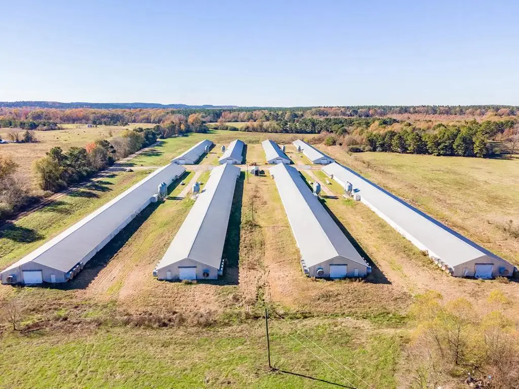 19644 Hwy 87s, San Augustine, TX 75972 - Image #1