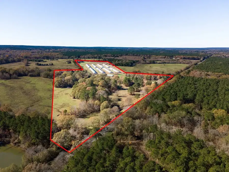 19644 Hwy 87s, San Augustine, TX 75972 - Image #3