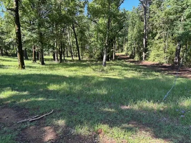 TBD Fm 2694, Shelbyville, TX 75973 - #3