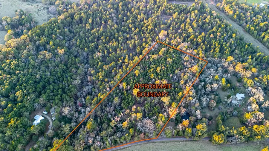 4201 Cr 273, Garrison, TX 75946 - #2