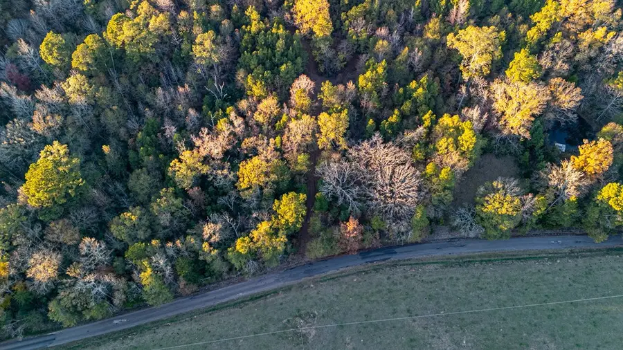 4201 Cr 273, Garrison, TX 75946 - #3