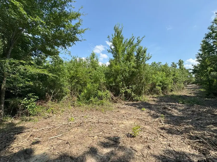 PIN 636351A Cr 4855, Timpson, TX 75975 - #2