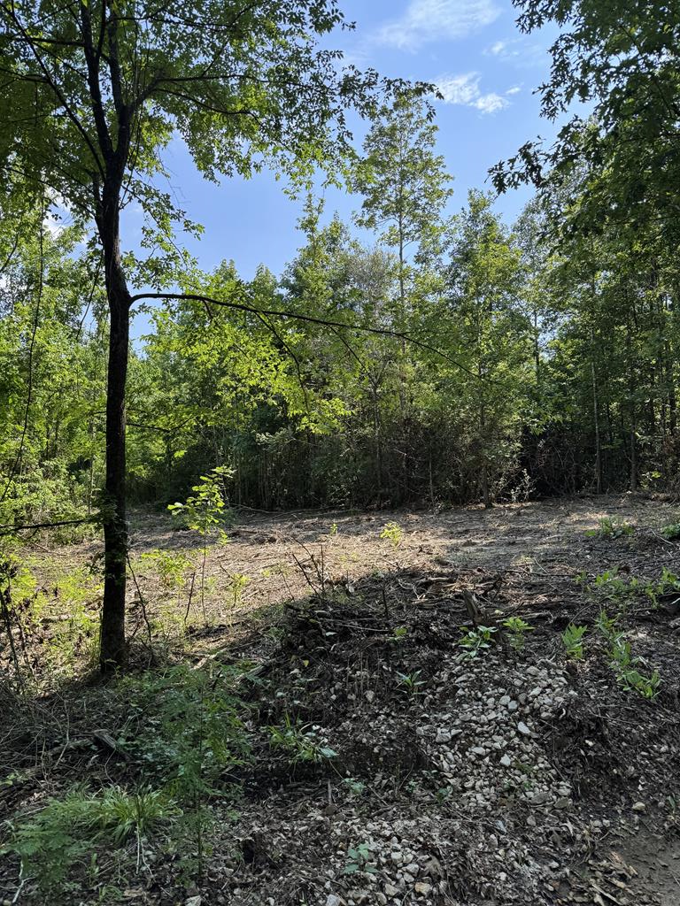 PIN 636351A Cr 4855, Timpson, TX 75975 - #3