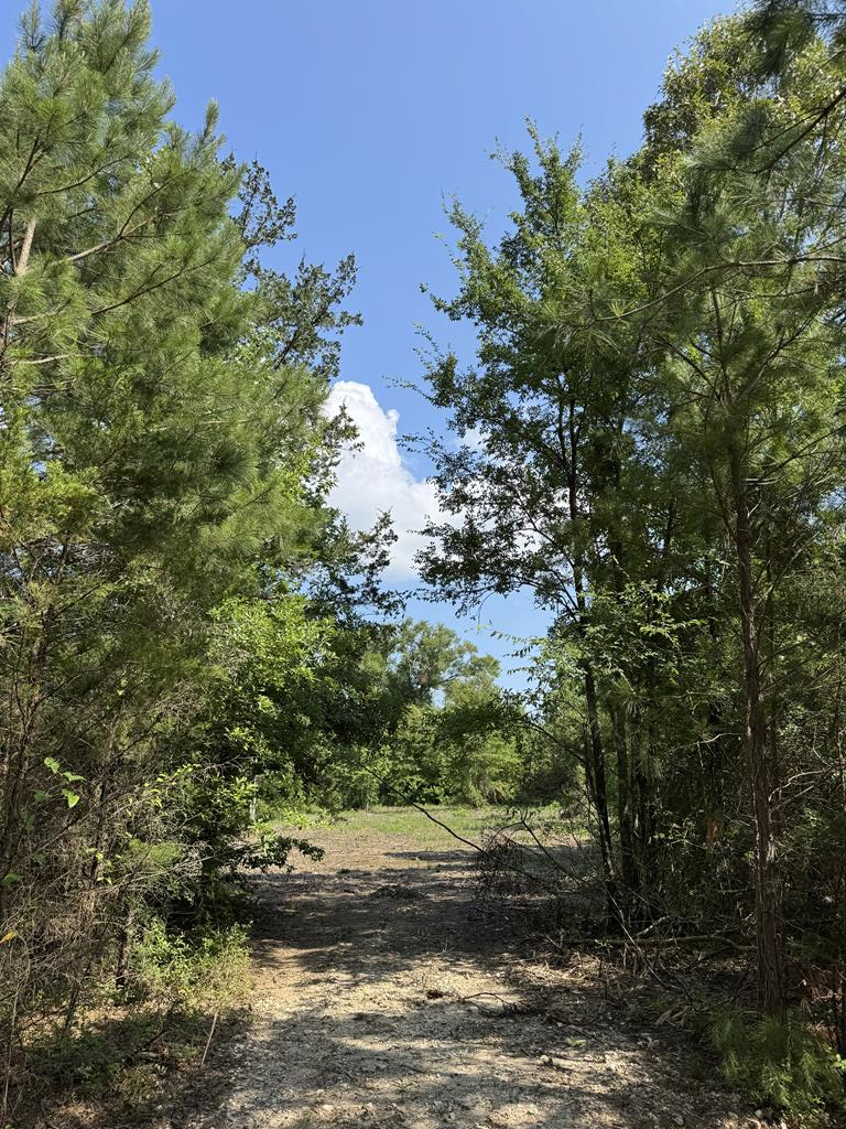 PIN 640374 Cr 4855, Timpson, TX 75975 - #2