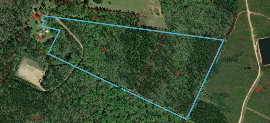 TBD Cr 2934, Shelbyville, TX 75973 - #2