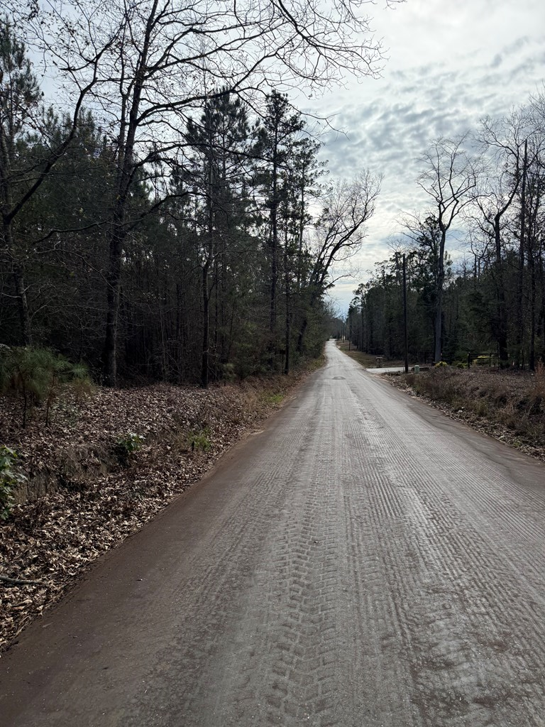 TBD Cr 2934, Shelbyville, TX 75973 - #3