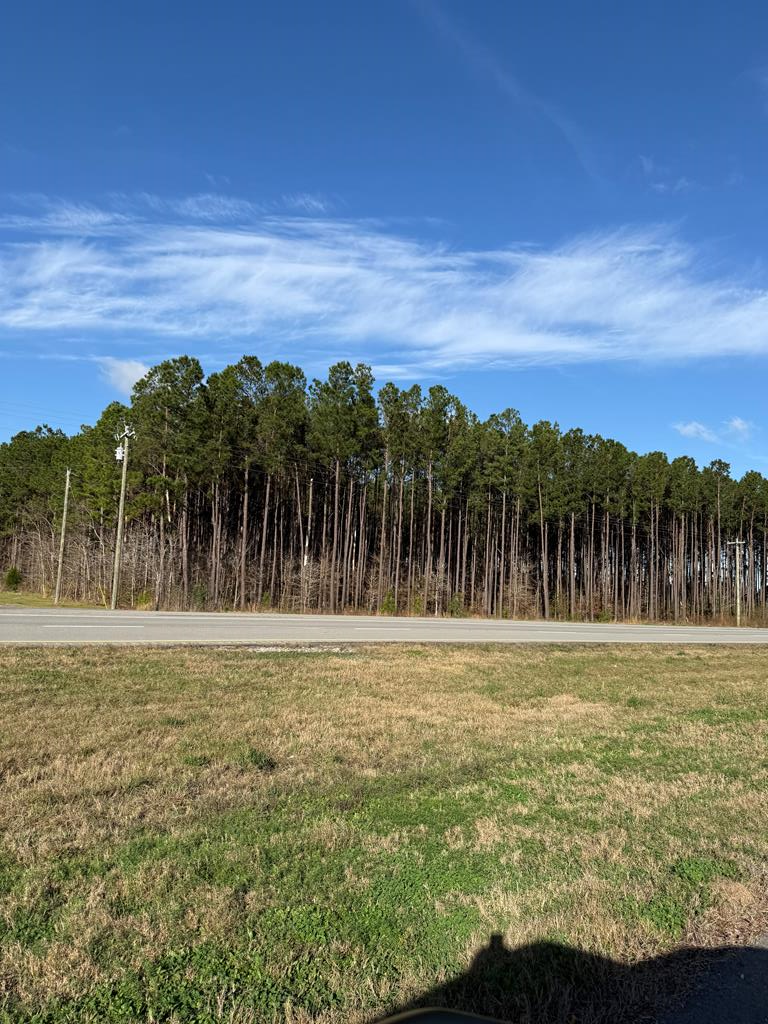 28602 Hwy 69s, Zavalla, TX 75980 - Image #1