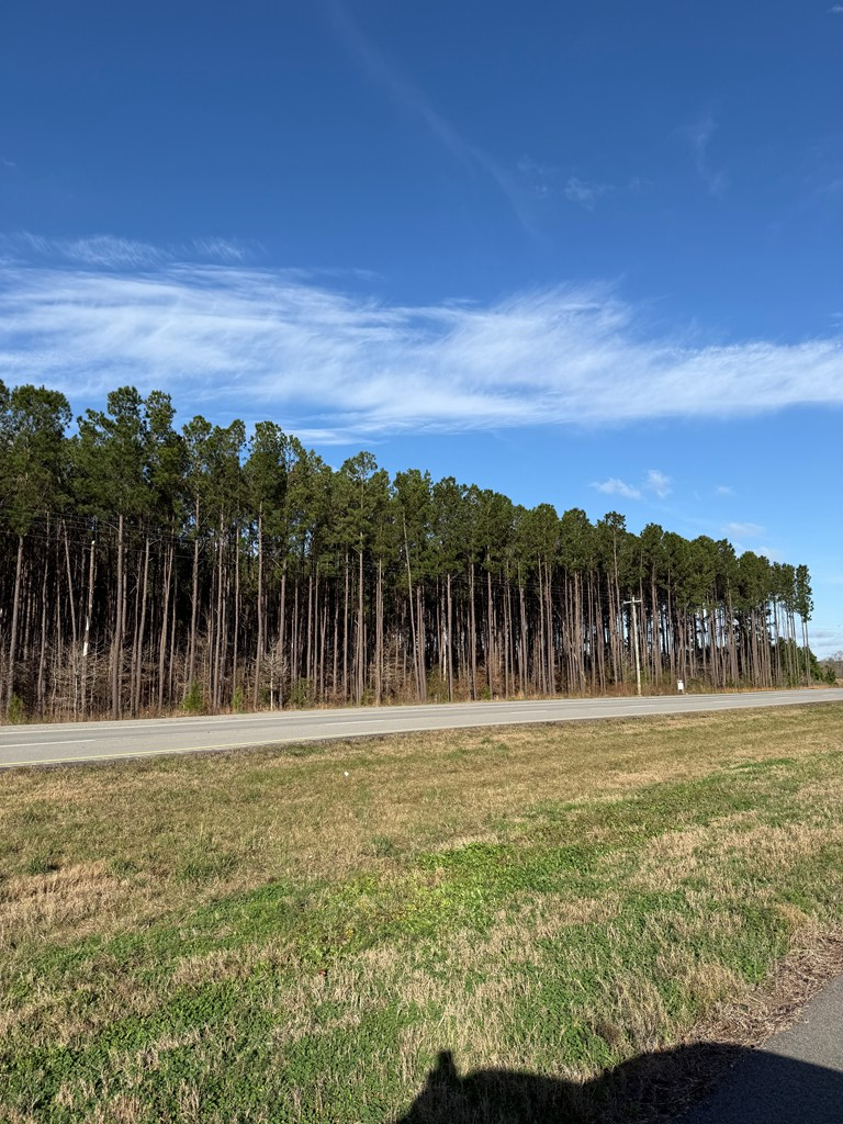 28602 Hwy 69s, Zavalla, TX 75980 - Image #3