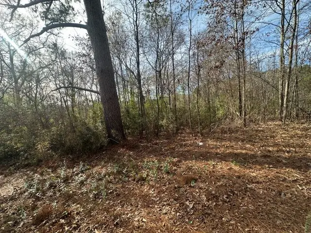 TBD Cr 286, Garrison, TX 75946 - #3