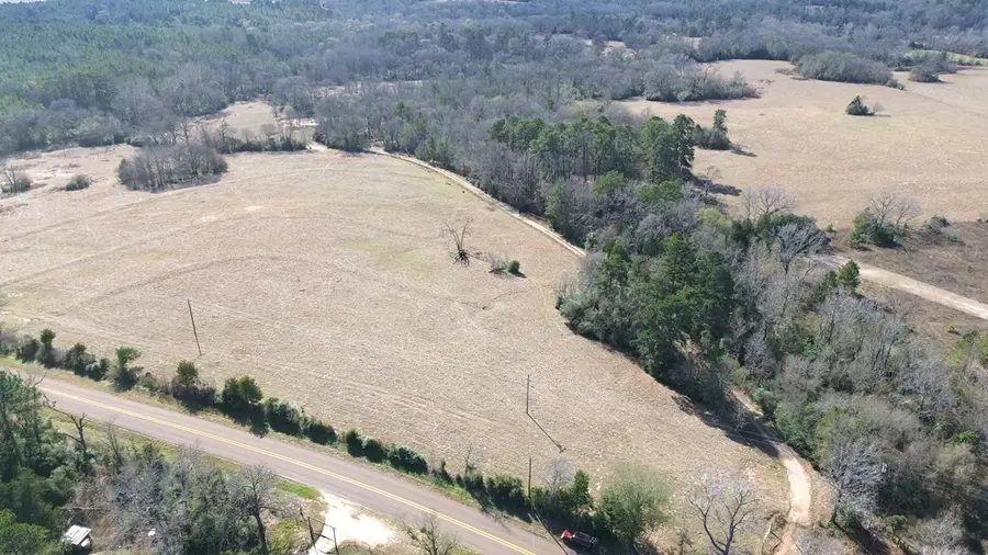 TBD Fm 1272, Grapeland, TX 75844 - #2