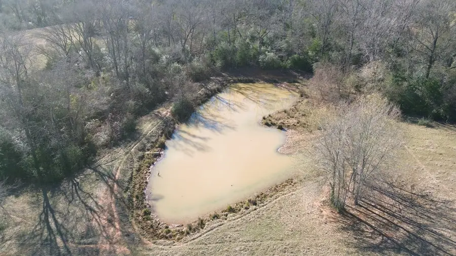 TBD Fm 1272, Grapeland, TX 75844 - #3