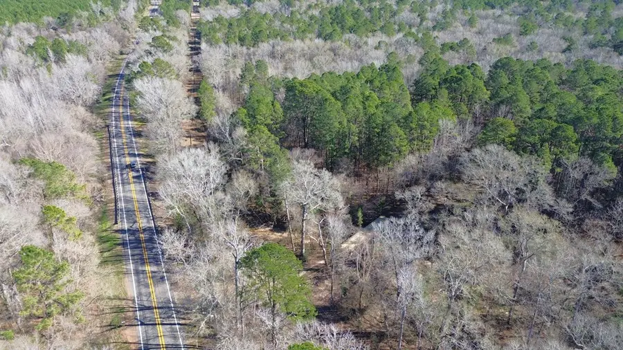 16590 Hwy 21e, Grapeland, TX 75844 - #3