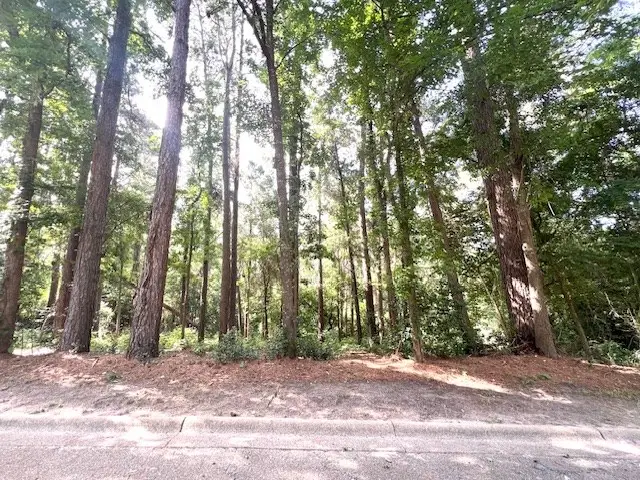 TBD Crestview Drive, Nacogdoches, TX 75965 - Image #3