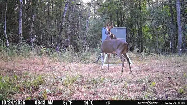 TBD Margaret Drive, Kirbyville, TX 75956