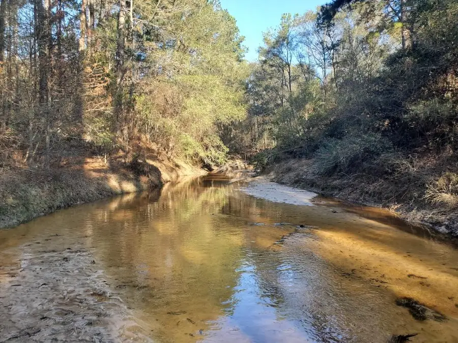 TBD Margaret Drive, Kirbyville, TX 75956 - Image #3