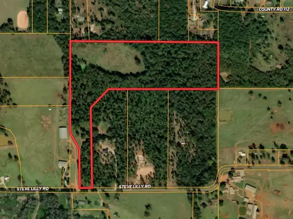 TBD 31 acres Cr 106, Nacogdoches, TX 75965